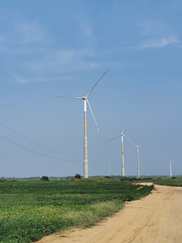 5. 唐河九龍風電項目.jpg